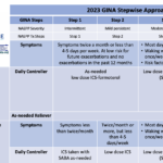 12 or Older Stepwise Approach NAEPP-GINA 2023 Overlap